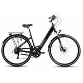 Electric bike ProEco Wave AN 1.0 R 504Wh 19" graphite-silver