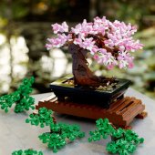 Bonsai Tree 10281