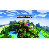 Minecraft: Starter Collection PS4