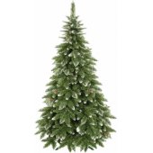 CT0077 180cm