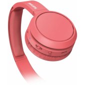 TAH4205RD/ 00 Red