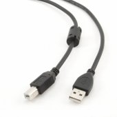 CCF-USB2-AMBM-10