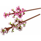 Cherry Blossoms 40725