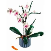 Botanical Orchid 10311