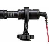 VideoMicro