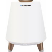 BT25LAMP White