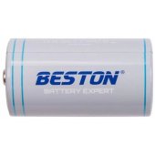 D Battery with USB-C Port 1.5V 4000mAh