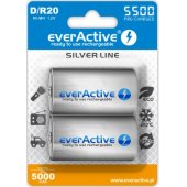 Silver Line D / R20 5500mA 2pcs