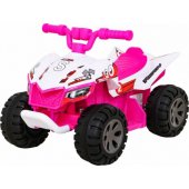Vehicle Quad THE FASTEST Pink