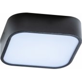 Azzardo ceiling lamp Modern plafond black AZzardo LUCIE LED Read.