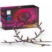 Hue Festavia 250LED 14W 20m