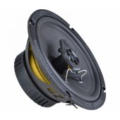 GZIF 6.5
