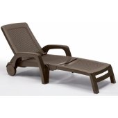 Miami Brown