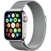 Mesh Apple Watch 42mm Silver