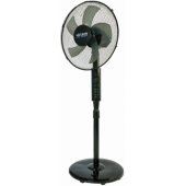 VO2437 Black