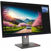 ThinkVision P32UD-40 31.5" IPS 16:9