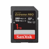 SDSDXEP-1T00-GN4IN