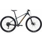 Talon 2 29" Asphalt Green (M)