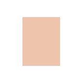 Dior DIOR DIORSKIN FOREVER CUSHION POWDER 010 FAIR 10g