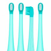 Dino 4pcs Torqouise