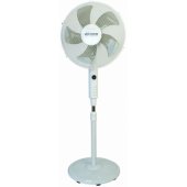 VO2436 White