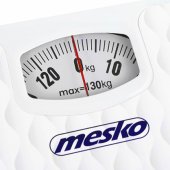 MS8160