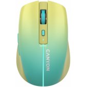 MW-44 Yellow/ Blue