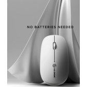 Echelon White
