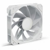 SHARK Mirror RGB PWM white