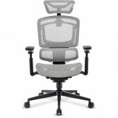 OfficePal C50M Grey