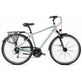 28" Wagant 5 (2023) 19" / M Green