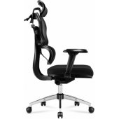 Expert 4.9 Black