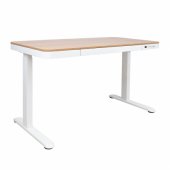 Desk ERGO with 1 motor 120x60xH72-121cm, white/ oak