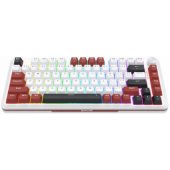 K721WRB Stormhunter (EN)