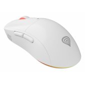 Zircon XIII Custom Wireless RGB White