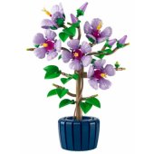 10372 Hibiscus