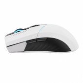 ML702 White/ Black