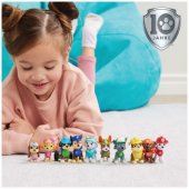 _971428 Paw Patrol