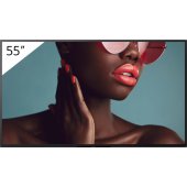 FW-55BZ40L 55" IPS 16:9
