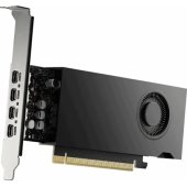 Quadro RTX 2000E Ada Generation LP 16GB GDDR6 128bit