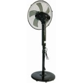 VO2437 Black