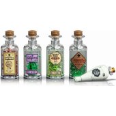 Hogwarts™ Icons - Collectors® Edition 76391