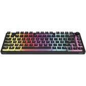 Phenix Red Pro Pudding (US)