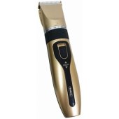 R51810K Champagne