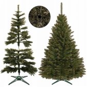 CT0081 180cm
