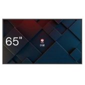 DS2 1TV442 65" IPS 16:9