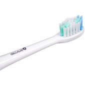 Toothbrush Head White