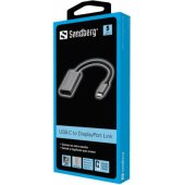 USB-C to DisplayPort Link Silver/ Black