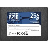P210 256GB P210S256G25