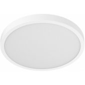 Smart Ceiling Light D20